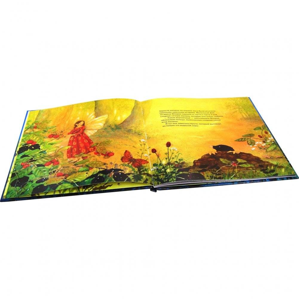 Маленькая фея загадывает желание фото книги 6