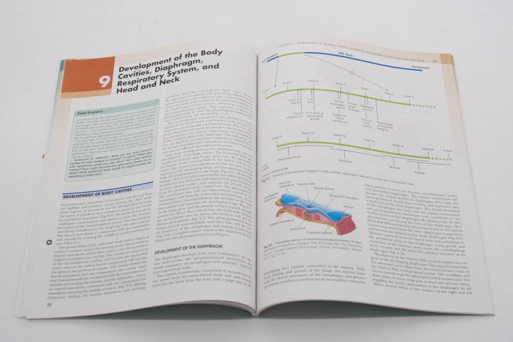 Concise clinical embryology: an integrated, case-based approach фото книги 3