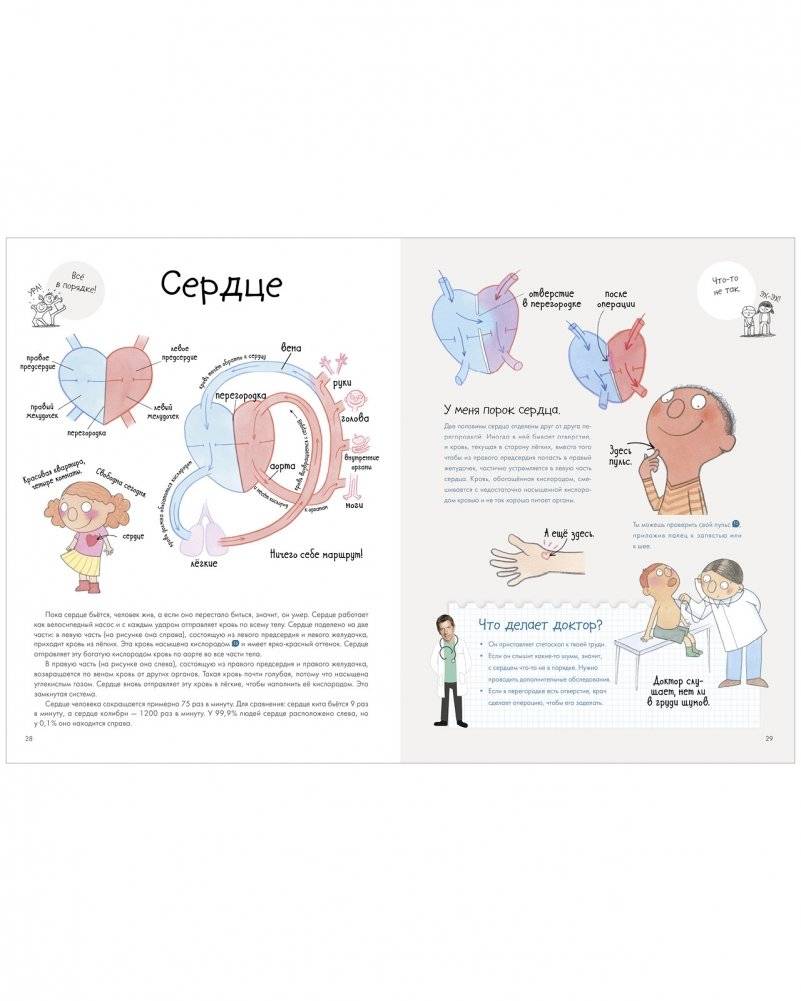 Секреты тела человека фото книги 3
