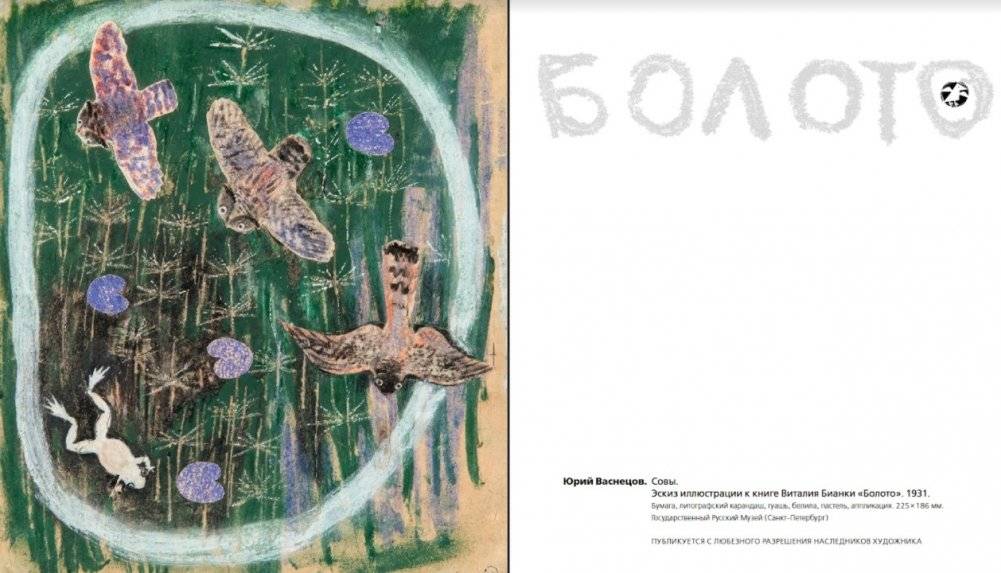 Болото фото книги 6