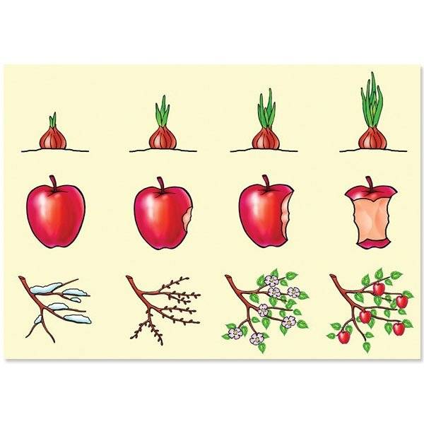 Игра «Логические цепочки» фото книги 5