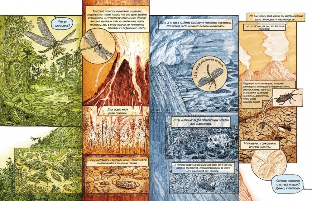 Инсектополис история насекомых от Большого взрыва до наших дней фото книги 4