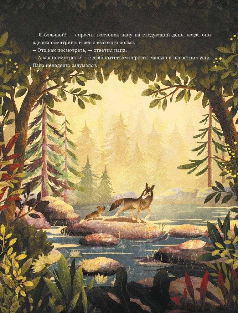 Папа, десять — это много? фото книги 5