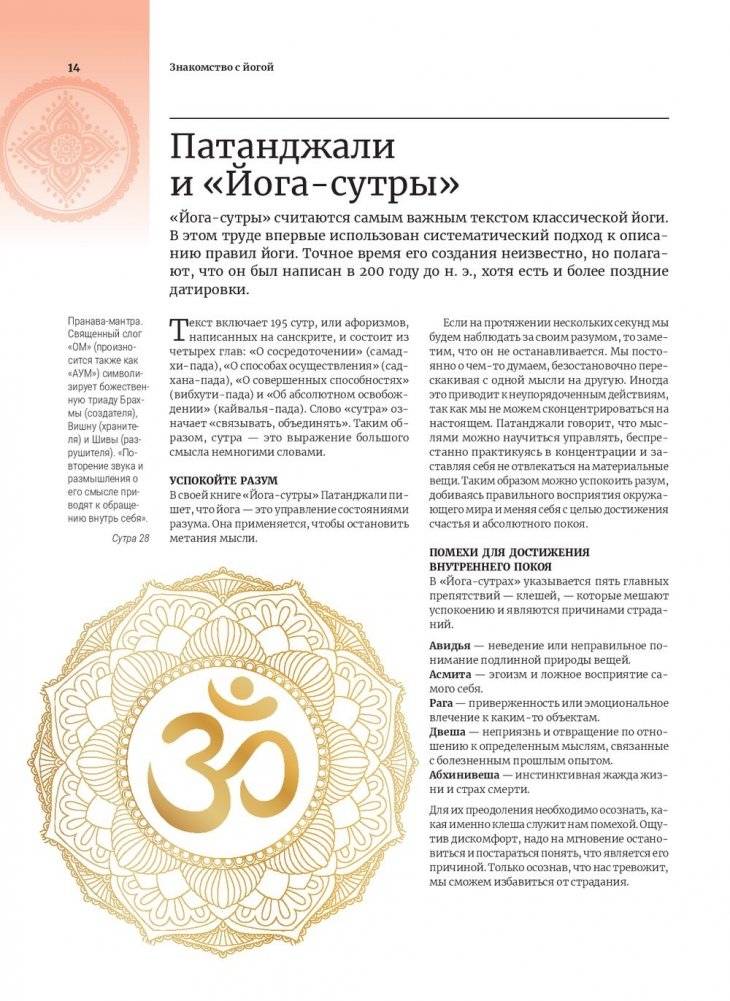 Анатомия и йога фото книги 7