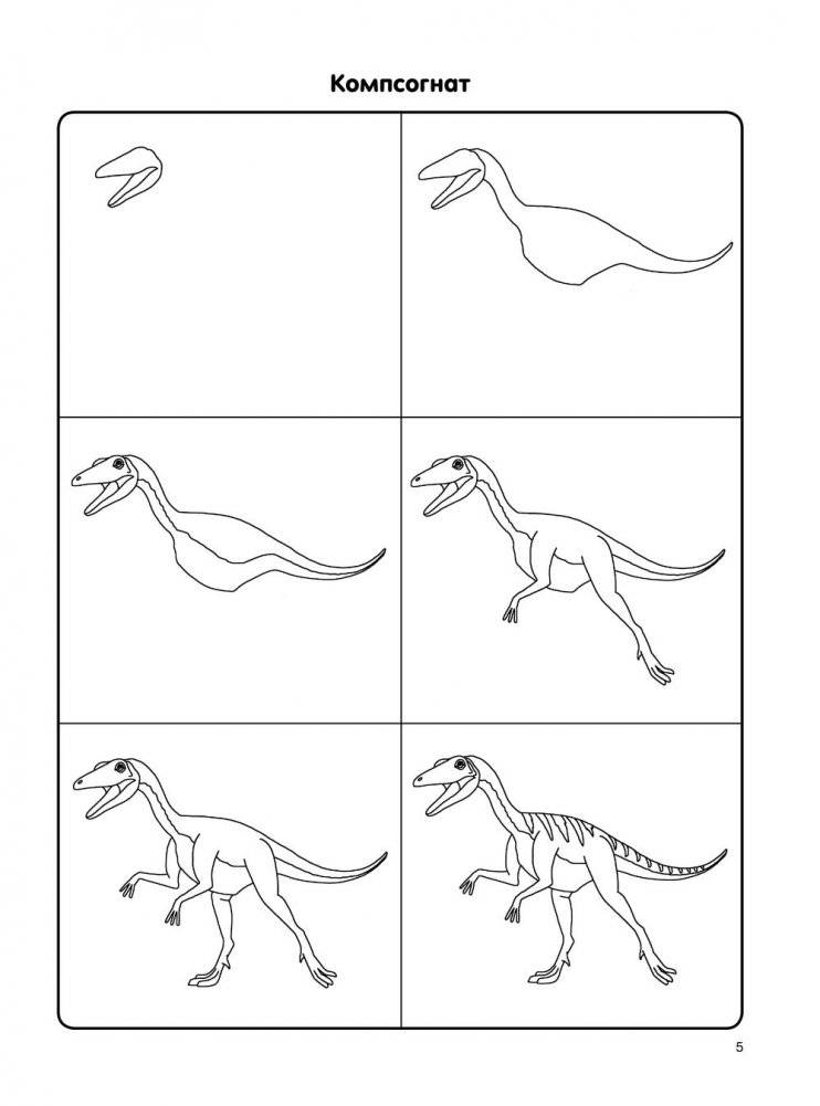 Как нарисовать 100 динозавров: шаг за шагом фото книги 6