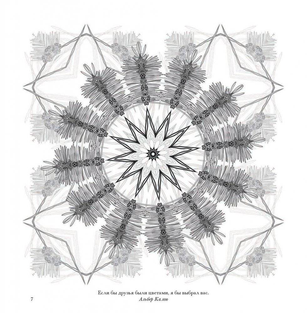 Флоросфера. Умиротворение фото книги 5