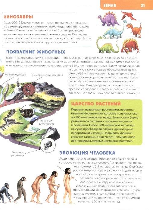 Будущему отличнику! Детская энциклопедия для младших школьников фото книги 5