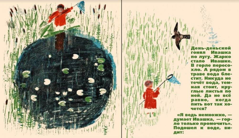 Болото фото книги 4