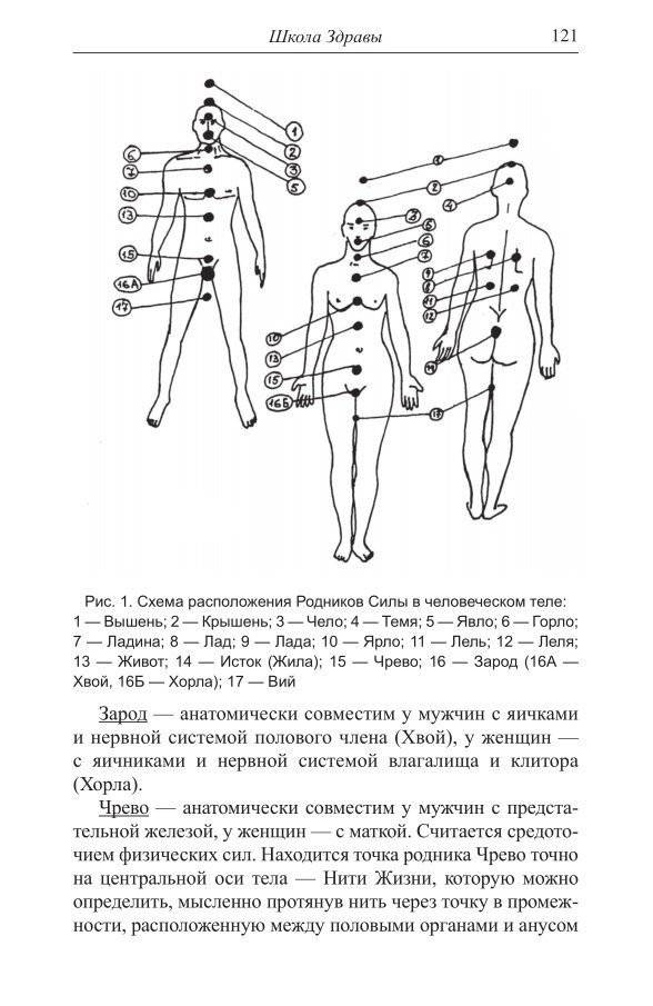 Путь к Волхву фото книги 2