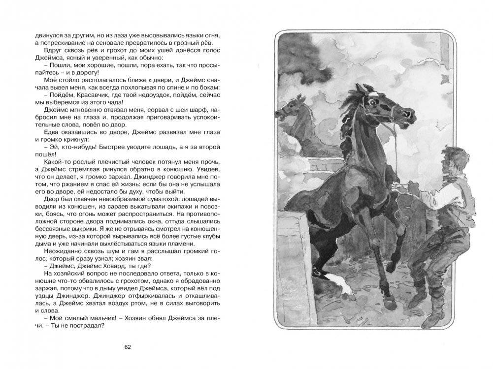 Чёрный красавчик фото книги 5