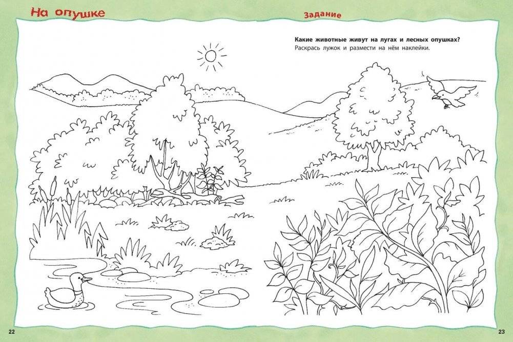 Кто живёт на опушке? Книжка-активити с развивающими заданиями, головоломками, наклейками фото книги 6