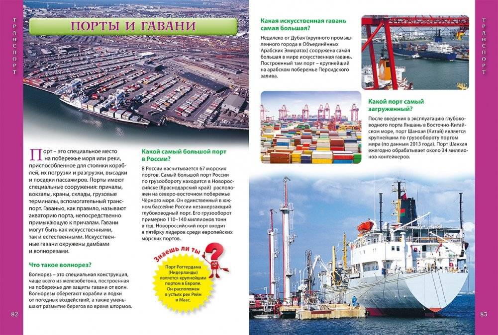 Умные ответы на детские вопросы. Энциклопедия для детей и их родителей фото книги 3