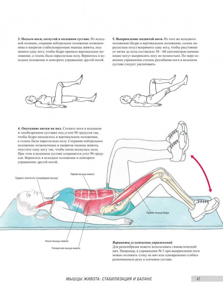 Анатомия фитнеса и силовых упражнений для женщин фото книги 10