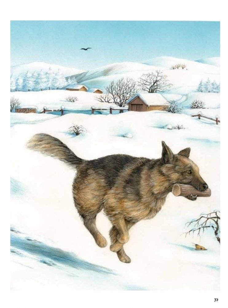 Моя самая красивая книга о кошках и собаках фото книги 8