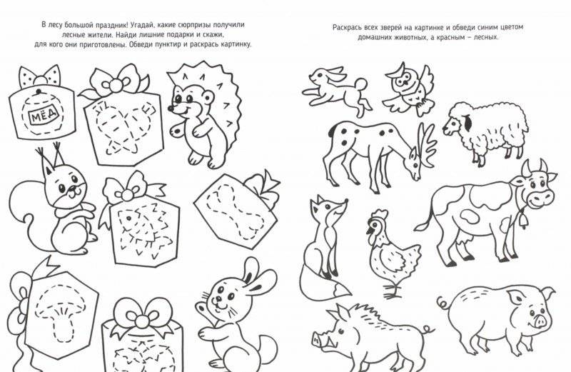 Развивающая раскраска фото книги 2