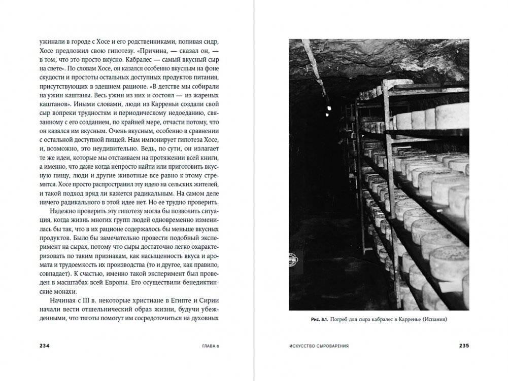 Происхождение вкусов: Как любовь к еде сделала нас людьми фото книги 4