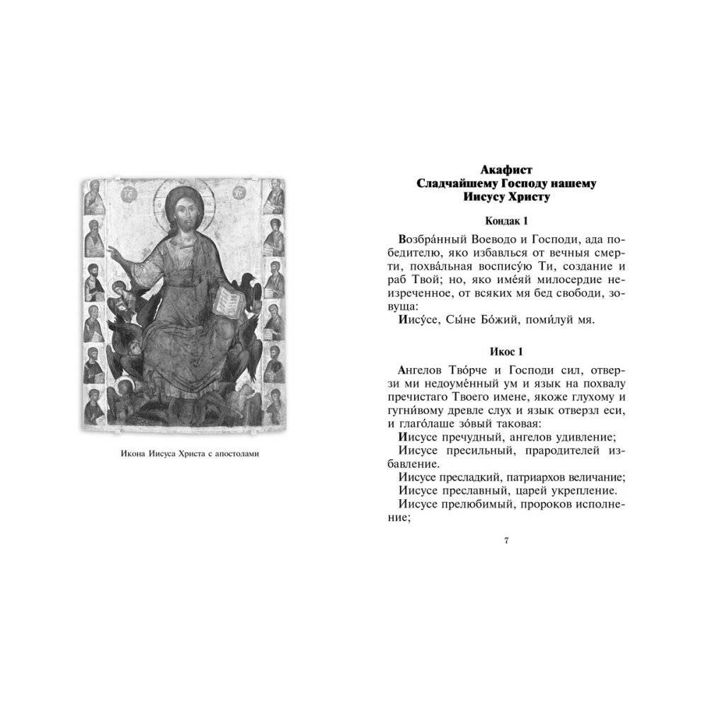 Акафистник. Исцели и помилуй фото книги 3