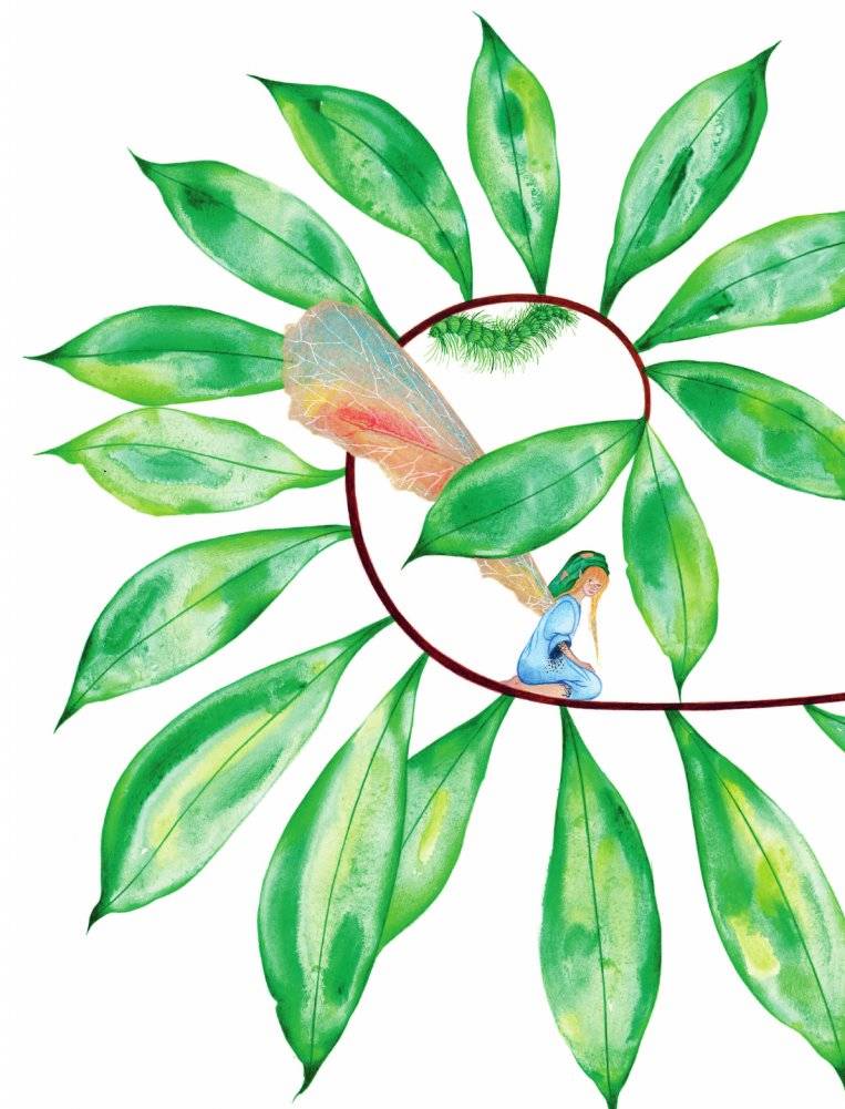 Остров мечты. Секрет стражей леса фото книги 3