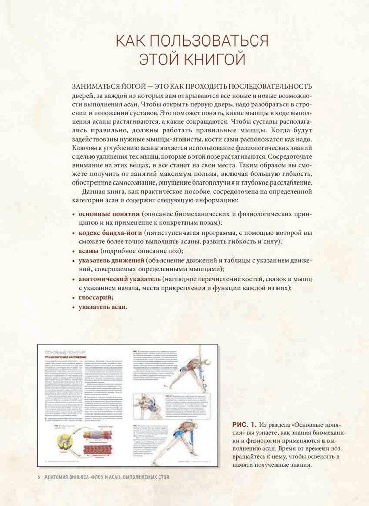 Анатомия виньяса-флоу и асан, выполняемых стоя. Руководство фото книги 4