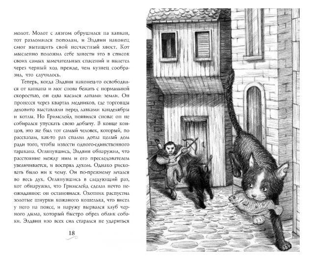 Фамильяры. Книга 1. Трое против ведьмы фото книги 2