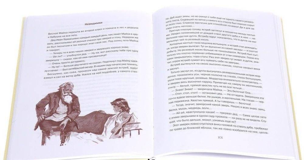 Я учил их птицам фото книги 4