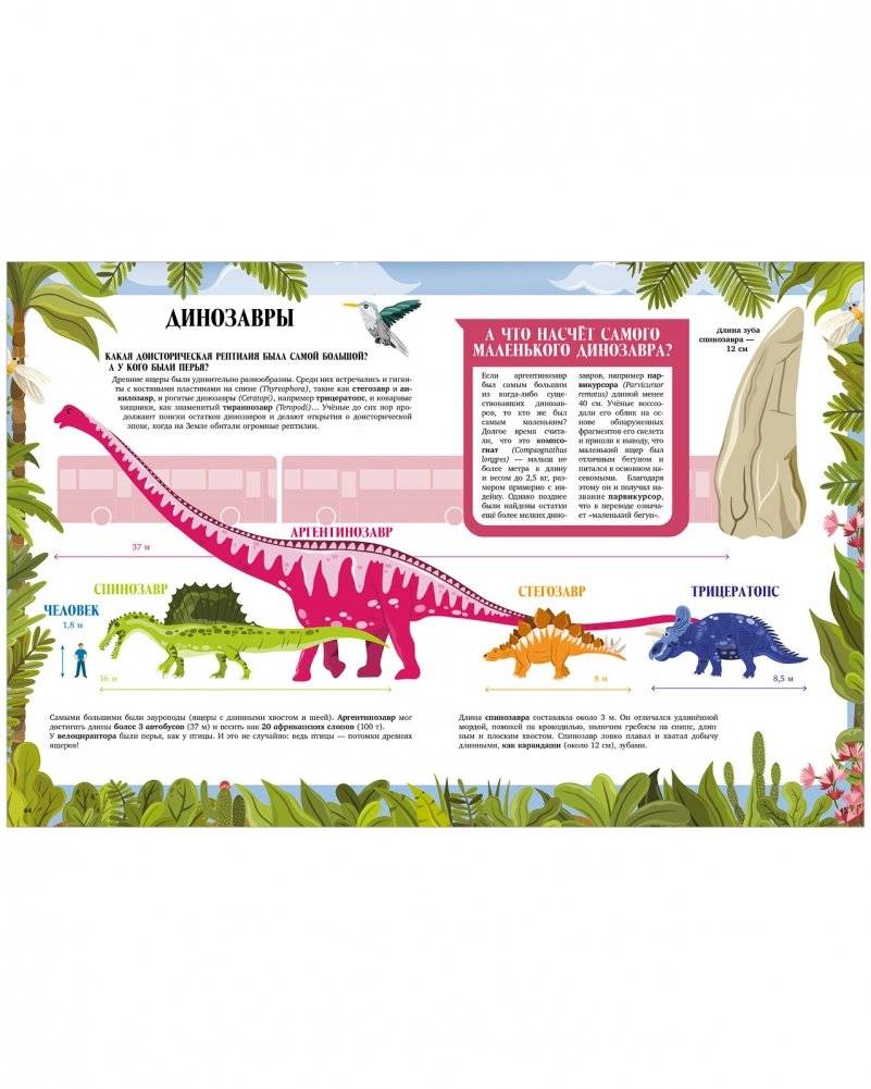 Большая энциклопедия CLEVER. Земля от атома до галактики. Масштабы мира в цифрах фото книги 3