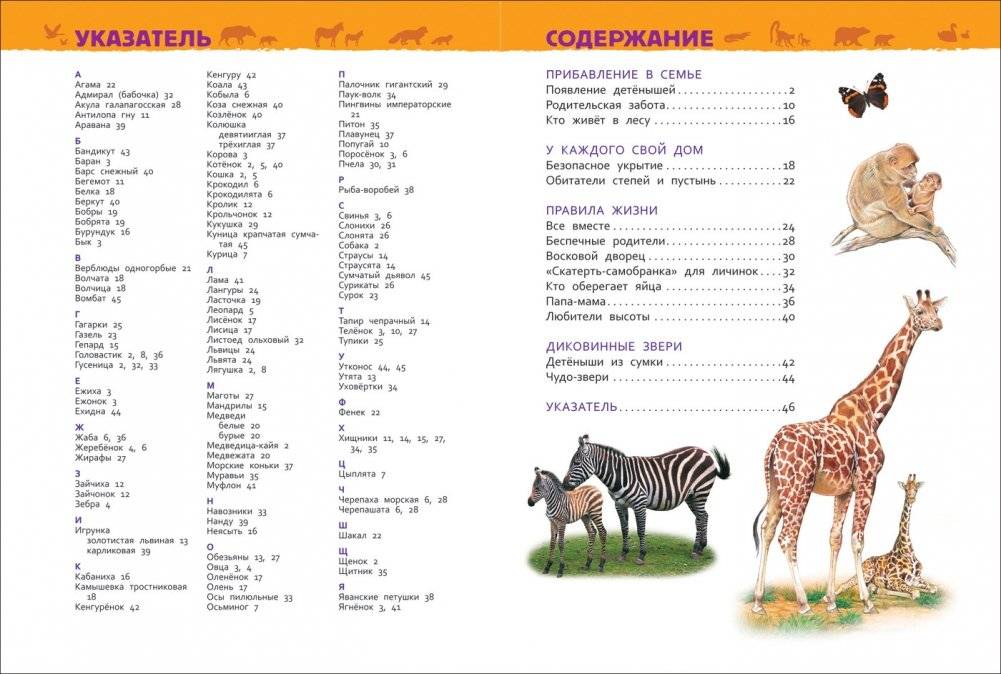 Детеныши животных. Энциклопедия для детского сада фото книги 2