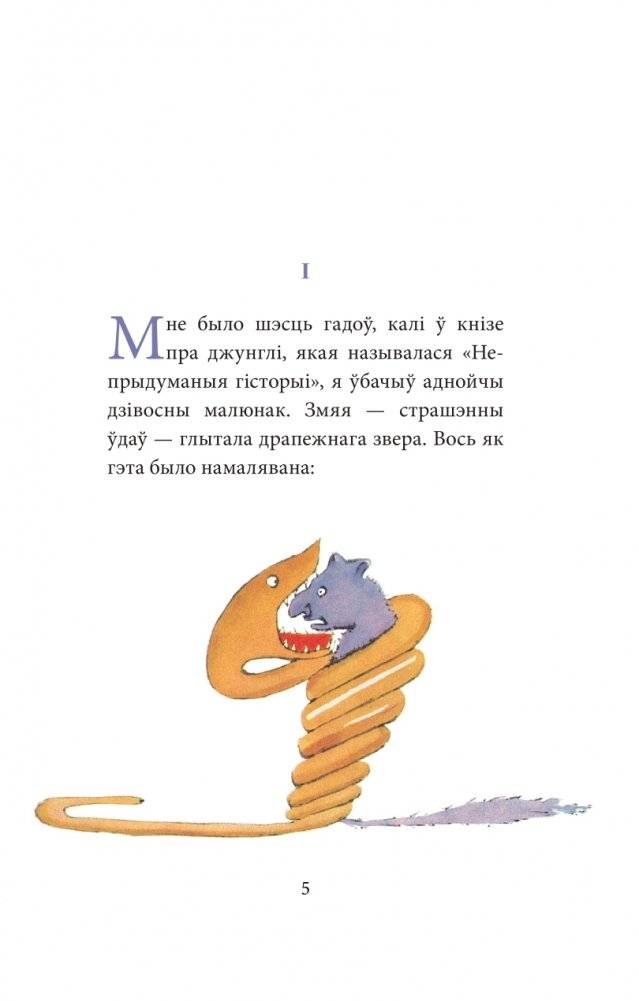 Маленькі прынц фото книги 5