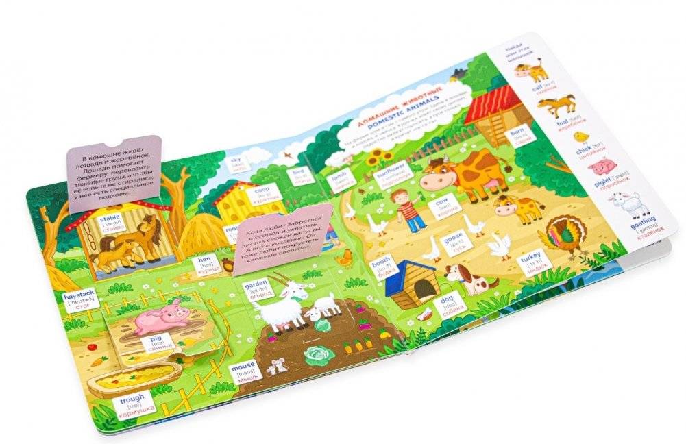 Книжка с окошками. Мои первые слова. Мои первые английские слова фото книги 2