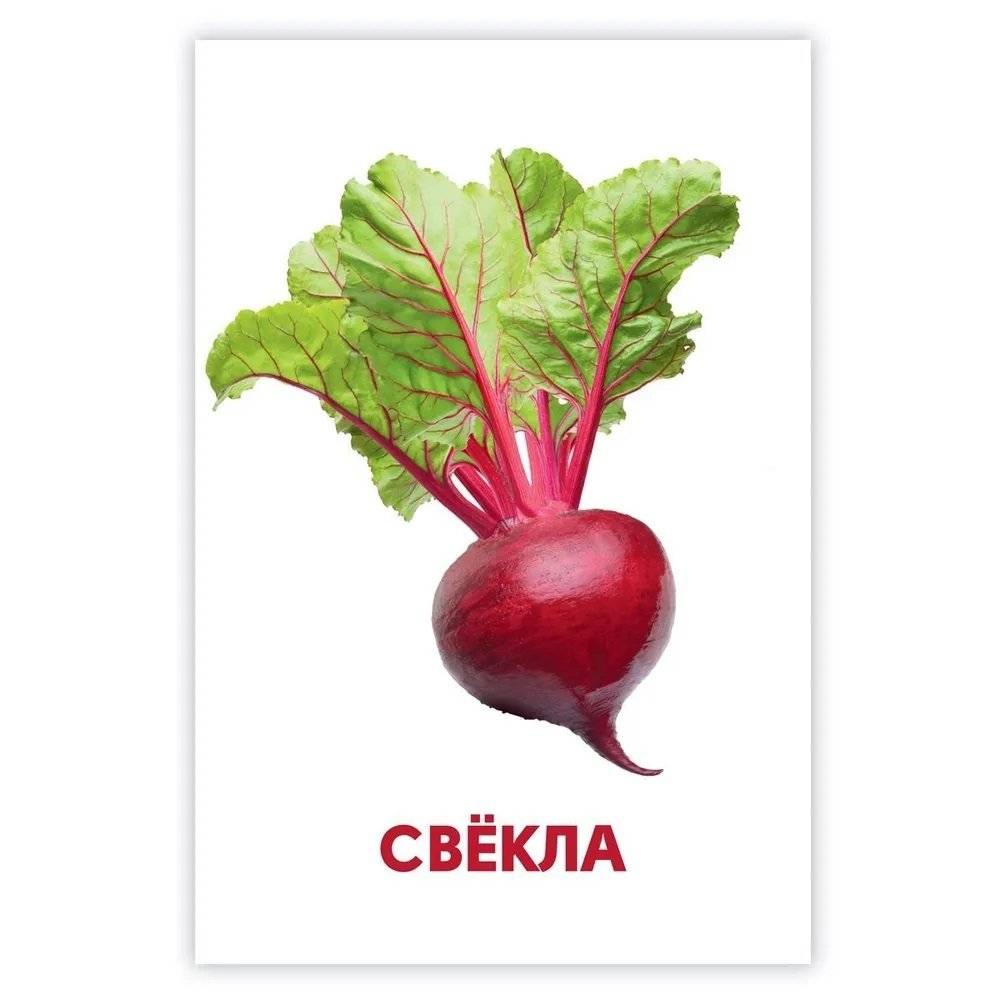 Развивающие карточки. Овощи, фрукты и ягоды фото книги 3