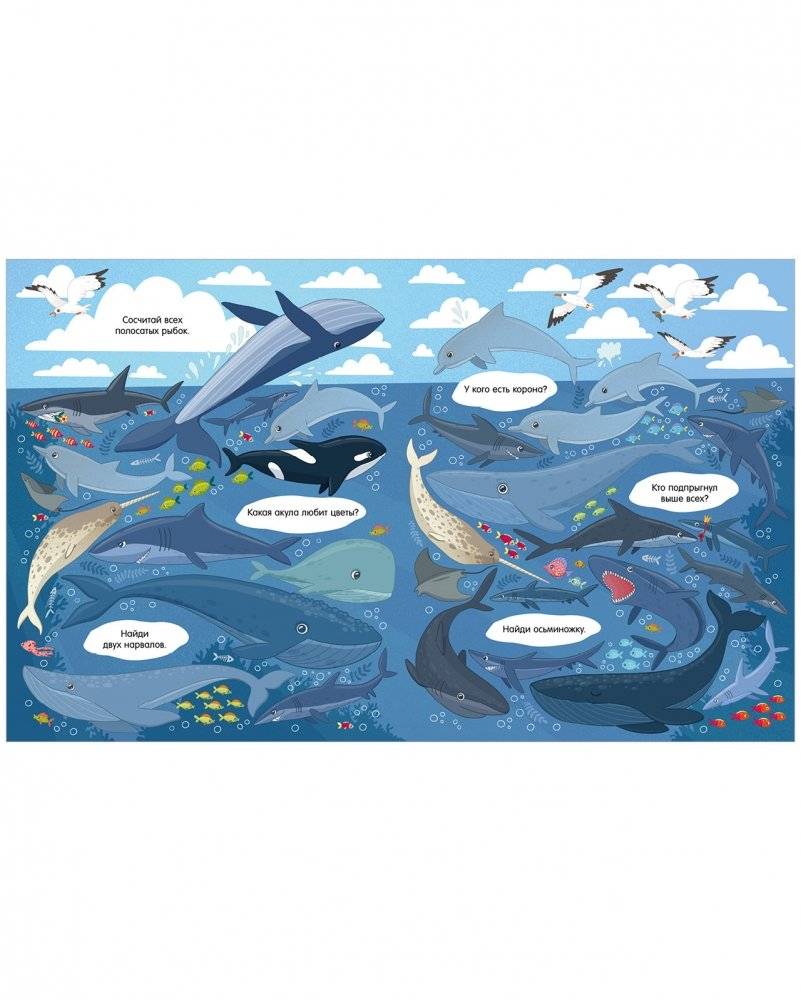 Найди и покажи. Океаны и моря фото книги 8