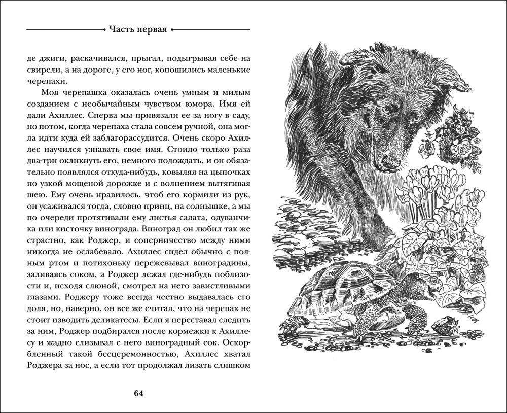 Моя семья и другие звери фото книги 2