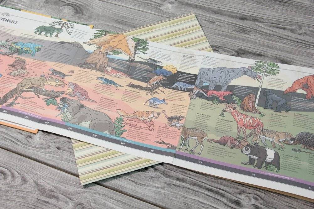 Животные фото книги 4