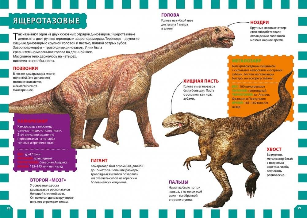 Динозавры. Детская энциклопедия фото книги 6