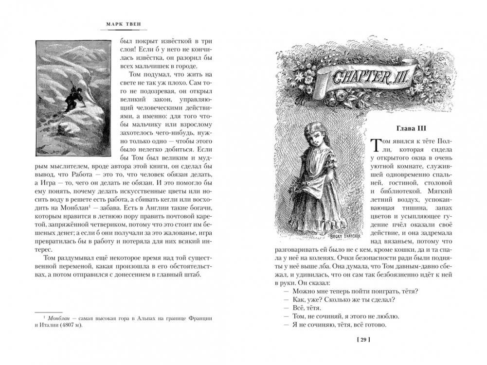 Приключения Тома Сойера и Гекльберри Финна фото книги 5