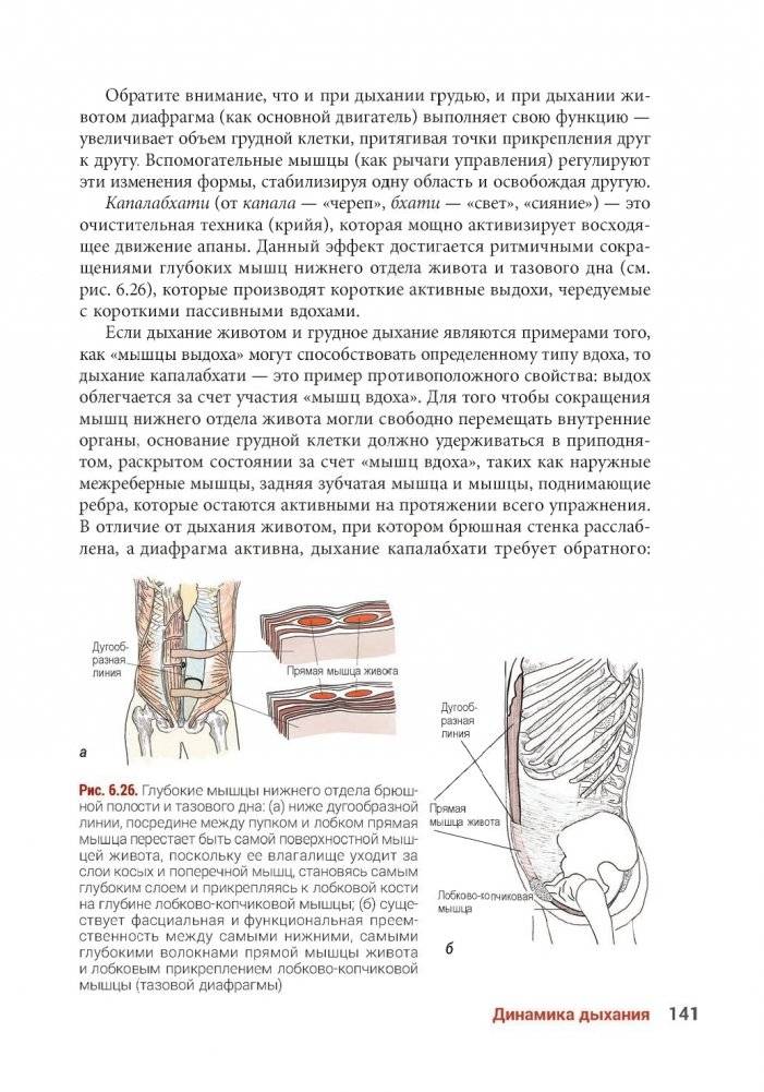 Анатомия йоги. Новейшая редакция фото книги 14