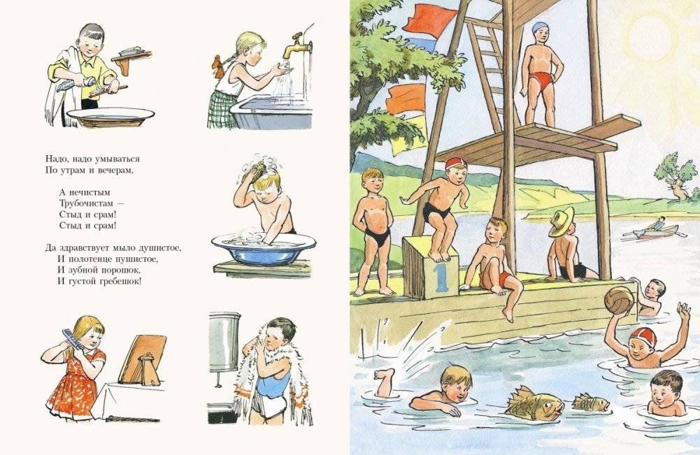 Мойдодыр фото книги 4