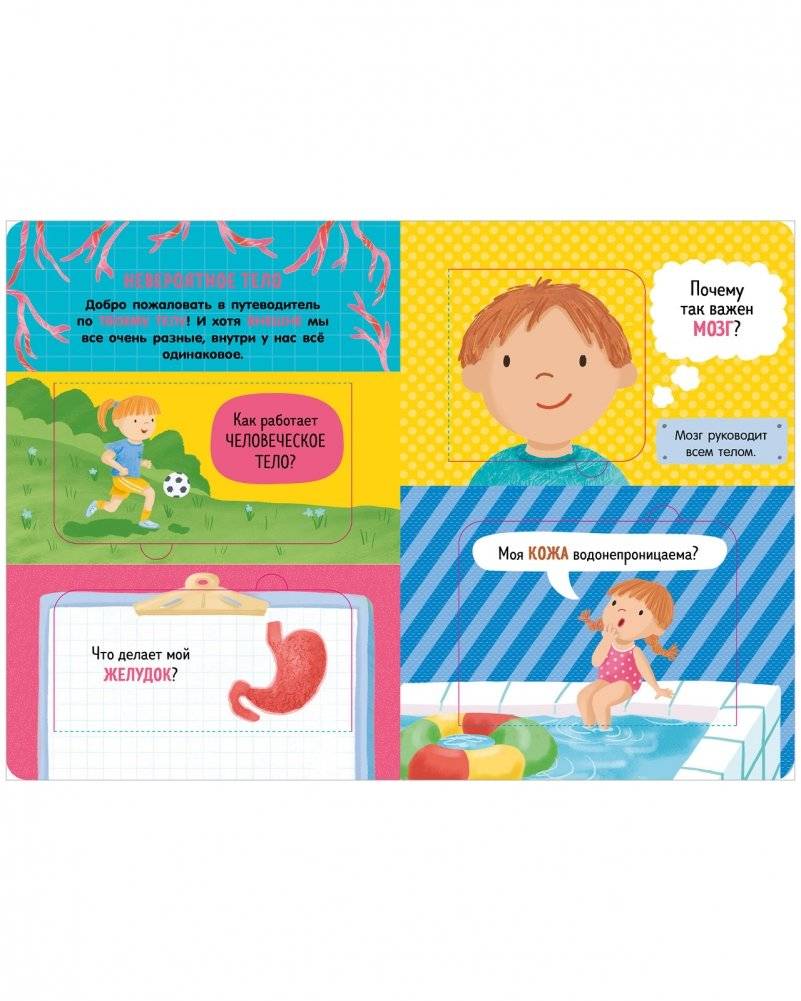Книжка с окошками. Как устроено тело человека. И другие интересные вопросы фото книги 2