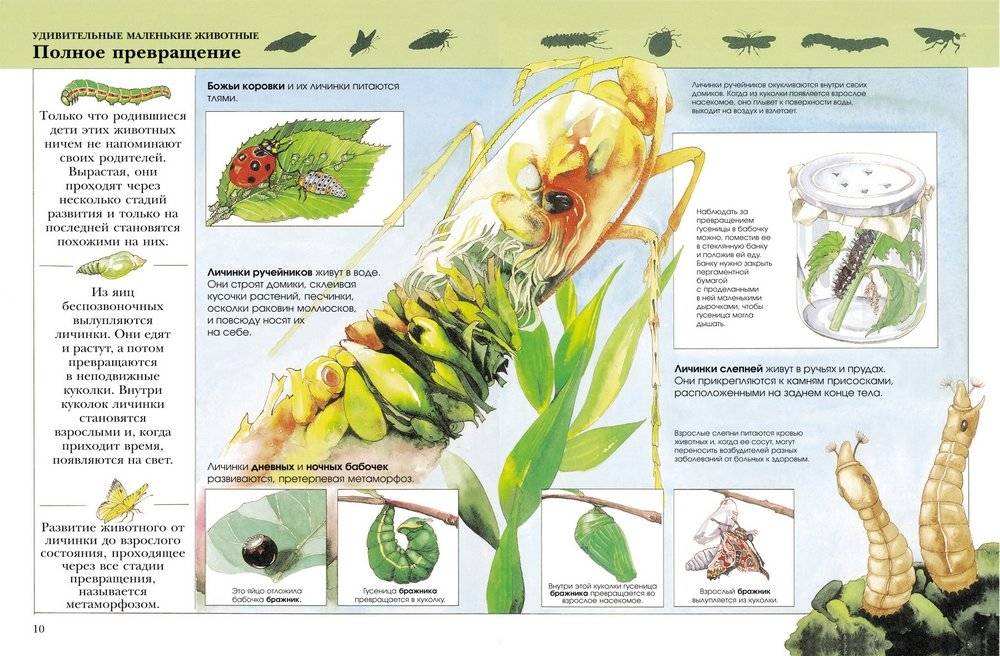 Большая детская энциклопедия. 5000 событий, фактов фото книги 2