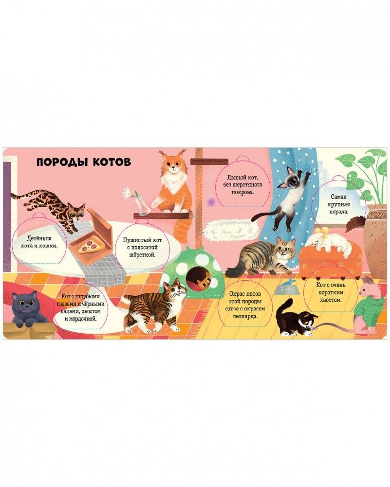 Любимые животные. Энциклопедия с окошками фото книги 3