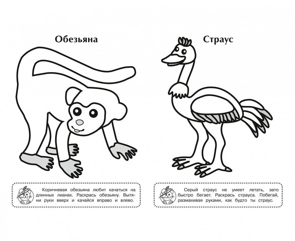 Лев фото книги 3