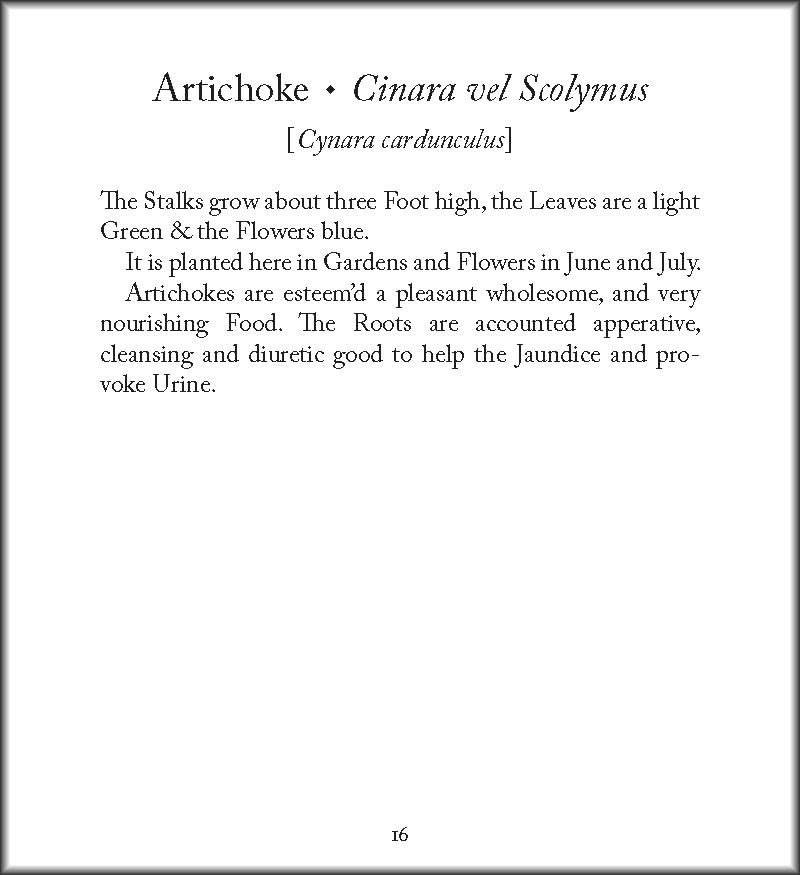 Healing Plants: From Elizabeth Blackwell's Curious Herbal (Tiny Folio) фото книги 3