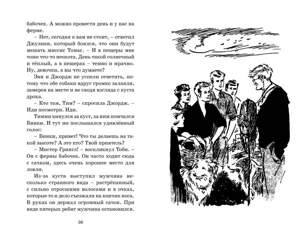 Пропавший самолёт фото книги 6