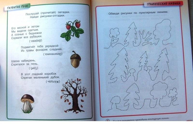 Грамотейка. Интеллектуальное развитие детей 5-6 лет фото книги 5