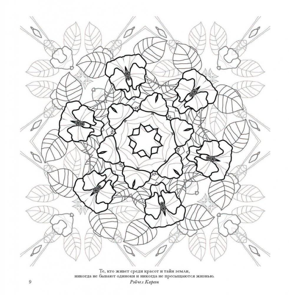 Флоросфера. Умиротворение фото книги 16