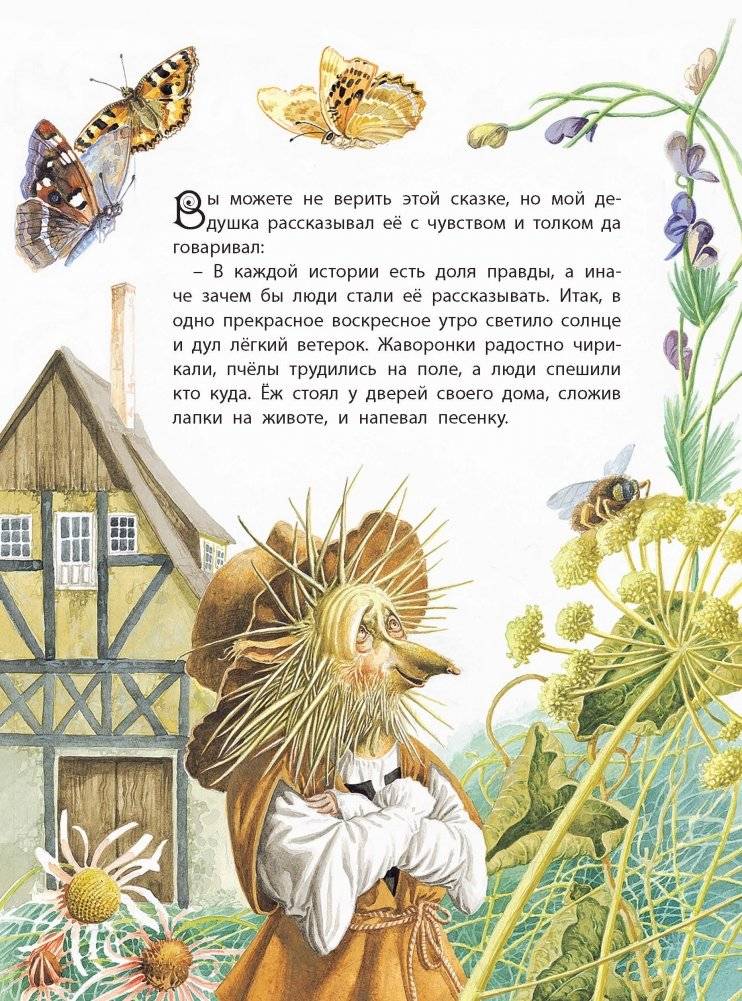 Заяц и Ёж фото книги 2