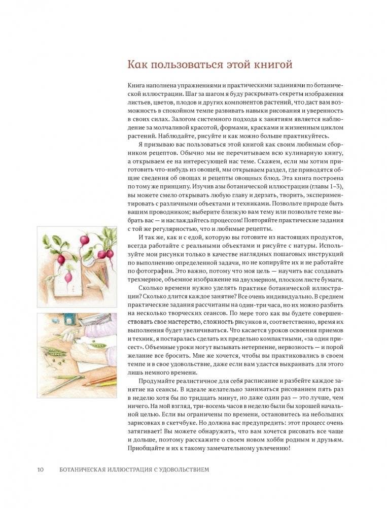 Ботаническая иллюстрация с удовольствием. Пошаговое руководство по изображению цветов, листьев, плодов и других элементов растений фото книги 8