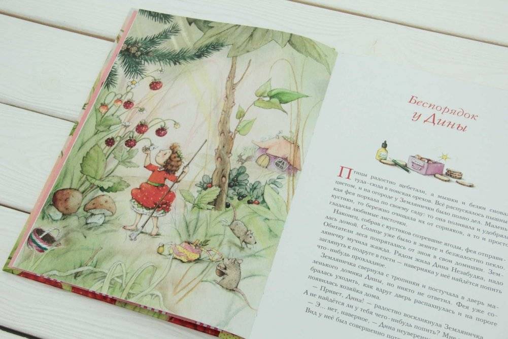 Земляничная фея. Весёлое путешествие фото книги 5