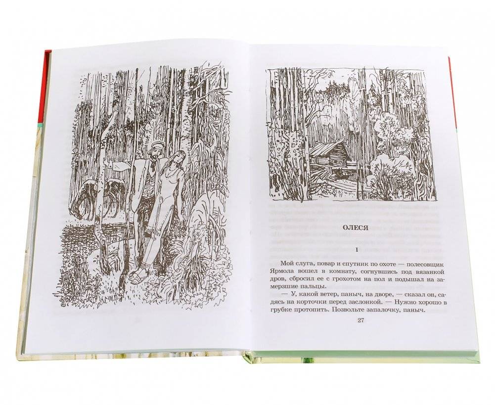 Гранатовый браслет фото книги 3