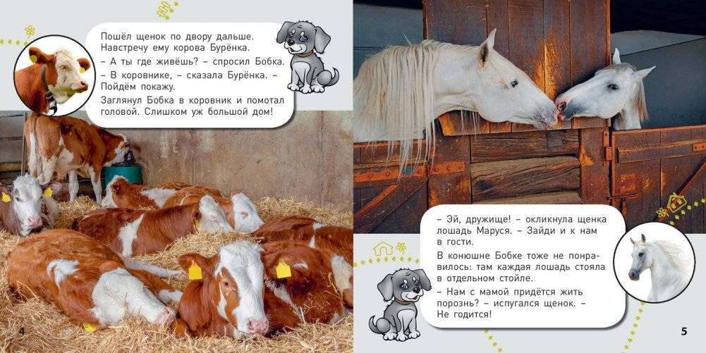 Кто где живёт? фото книги 3